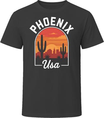 Phoenix Usa Tourist Vacation Gift Tee Fl T Shirt