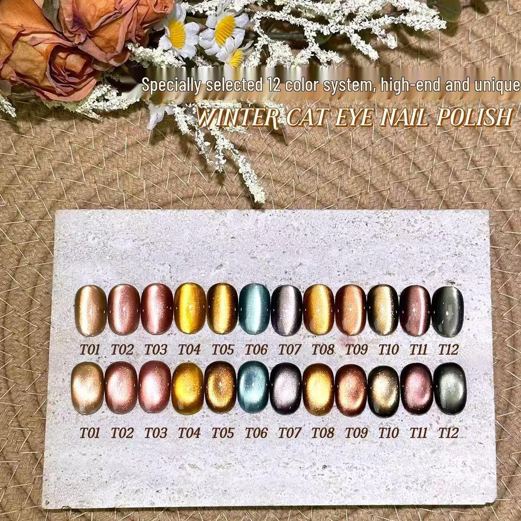 1kg Cat Eye & Solid Gel Polish Pack for Nail Art - Transparent & Solid Colors for Salon Use