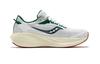 SAUCONY Triumph 21 Устойчивые к истиранию Дышащие Низкие Тренировочные - S20881-136