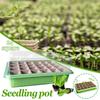 (Nikita) 24 Cells Gardening Mini Breathable Lids Plastic Germination Box Nursery Pots