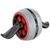 PROIRON Ab Roller with Assist, Ab Roller for Beginners, Exercise Roller, Assembly Required, Quiet, 150kg Weight Capacity