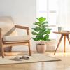 Large Fake Ficus Tree Plastic Faux Ficus Lyrata Plant  Outdoor Indoor Decor