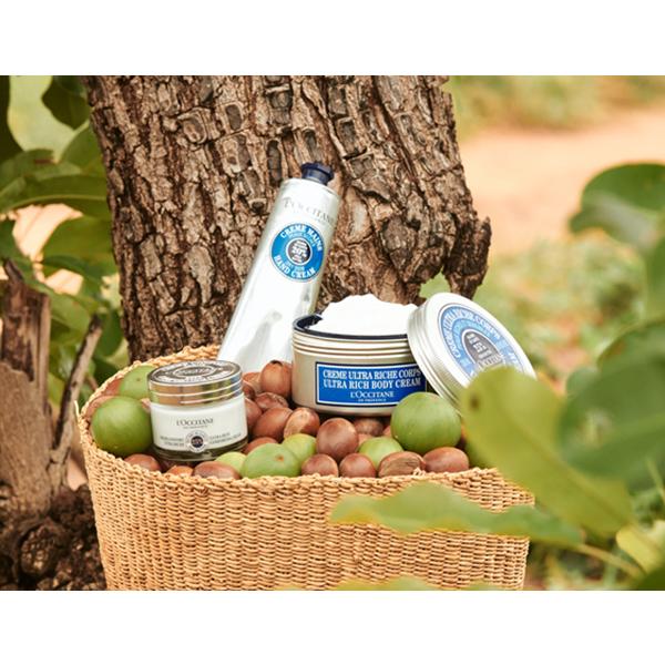 L'Occitane Shea Butter Hand Cream + Lip Balm Duo Set, 1 Set Korean Cosmetics