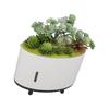 Simulation Plant Humidifier USB Charging Quiet 200ml Automatic Power Off Protection Portable Mini