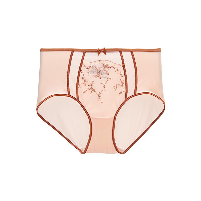 Women's Embroidered Mesh Mid-High Waist Briefs