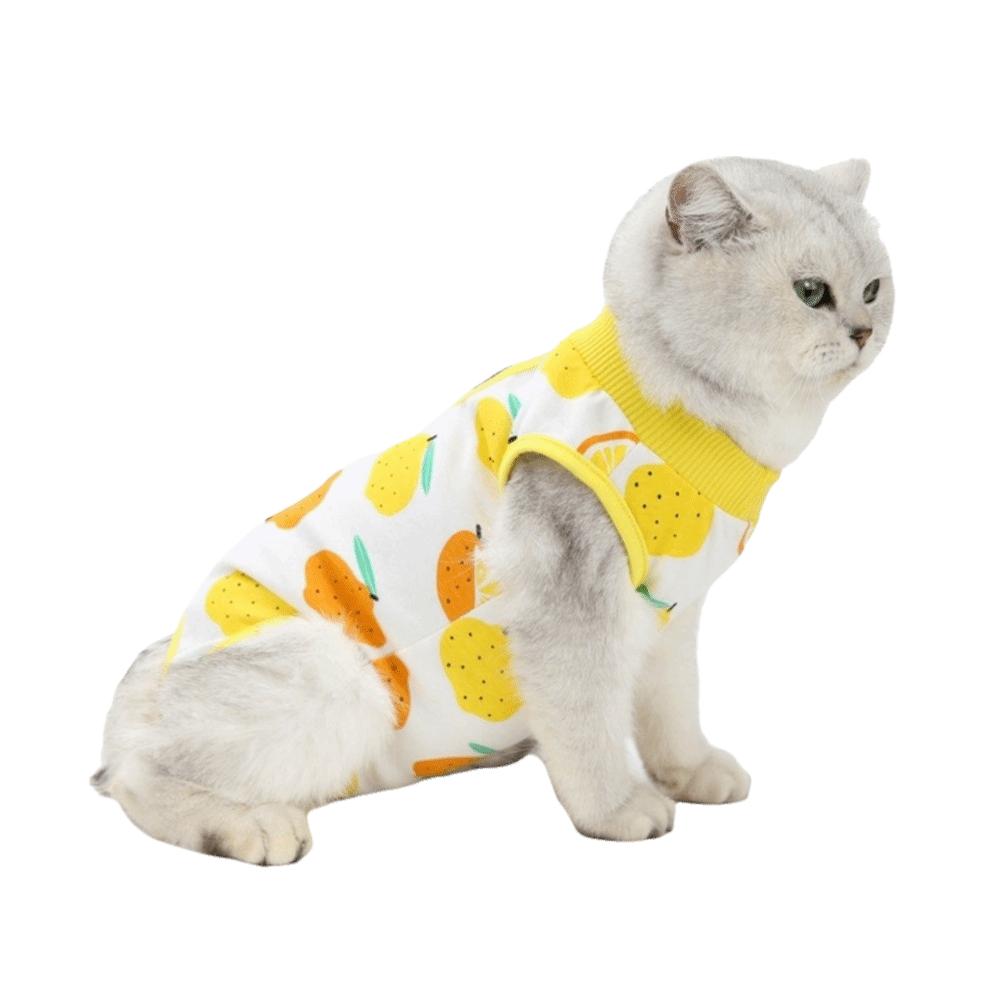 Fruit Printed Cat Recovery Clothing High Elasticity Breathable Cat Sterilization Suit Comfortable Soft Cat Jumpsuit Pet Care