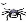 Universal Size Spider Outfit for Dogs Pet Costume, Halloween Cat with Skull Face, Black Holiday Costumes Social Media Photos Apparel Cats Cosplay