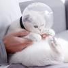 Дышащая маска для ухода за кошачьей мордой, защита от укусов, защитный капюшон от вылизывания