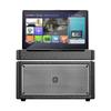 Portable KTV Bluetooth Speaker with Display and Dual Mics (CN version)