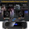 SANSUI PK09 Professional KTV Audio System (CN version)