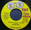 7inch Record BEENIE MAN - Nothing Gonna Change NONE Fat Eyes Record 1998 Jamaica Reggae, Ska & Dub Used