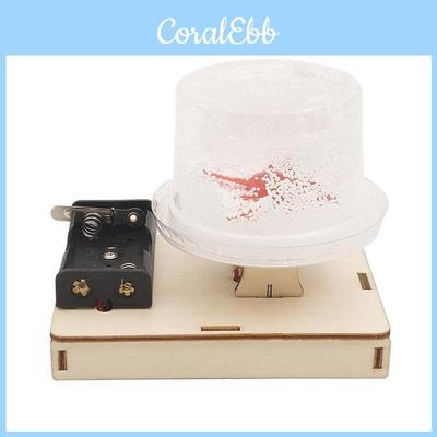 Образовательный DIY Электрический Статический Снежный Игрушечный Научный Экспериментальный Набор Для Детей Деревянный Материал