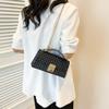 Niche Simple Shoulder Bag 2025 Spring New Bag Women's Casual Simple Chain Fashion Messenger Small Square Bag