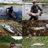 Maxcatch Skagit Shooting Head GR 17 FT с 2 сварными петлями Fly Line 23FT 250g-650 FT-25 (Бирюзовый/Оранжевый, 450гр)
