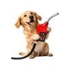 Dog – как на картинке