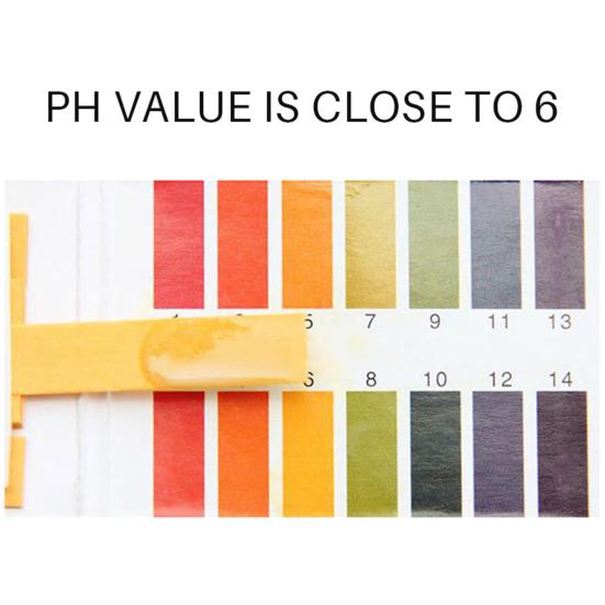 Turmeric Cream Moisturizing Brighten Skin Firming Anti-Aging Skin Care Turmeric Cream