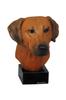 Rhodesian Ridgeback, African Lionhound, African Lion Dog - Painted Figurine, Statue, Figure, Made by the Artist, Brand