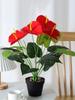 2 пучка красных пальмовых цветов, 10 цветов, искусственные растения, имитация антуриума, зеленые растения, предметы интерьера, украшения для отелей