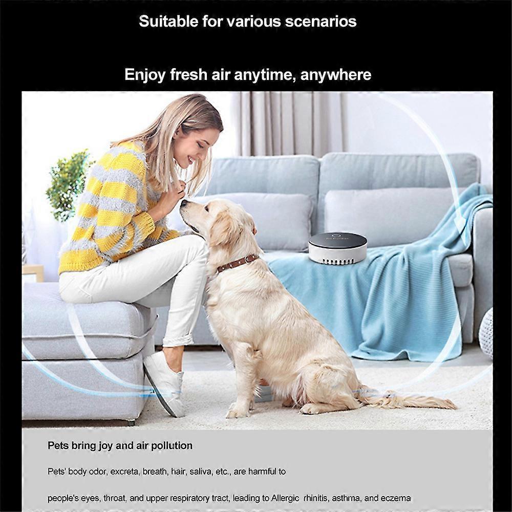 Mini Portable Air Purifier Negative Ion Air Purifier Pet Odor Purifier Car Home