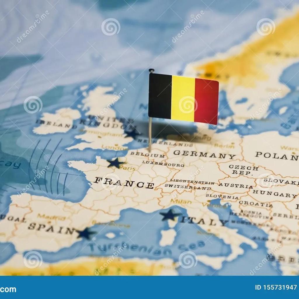 Belgium Police Malinois Dog K-9 Belgian Shepherd MMA Kick Boxing UFC Muay Thai T-Shirt Vintage Badge Retro 3D Print Men Women Short Sleeve Round Neck