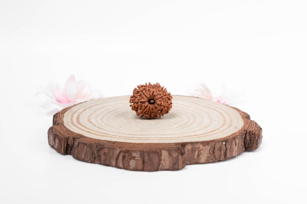 Натуральная 11-мукхи Рудракша – Непальское происхождение | Заряженная бусина для благословений Господа Ханумана, мужества и бесстрашия | Органическая и сертифицированная лабораторией