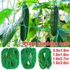 4 Sizes 27 Strands of Horticultural Plant Climbing Vine Net Ipomoea Nil Climbing Flowers Climbing Rattan Ropes For Plants