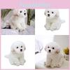 Очаровательная белая мальтийская плюшевая игрушка, наполнена волокном, длинношерстное чучело животного, 33x24x16см/38x26x21см