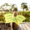 New Pet Dinosaur Transformation Costume for Dogs and Cats Halloween Flying Dragon Wings Funny Harness Accessories