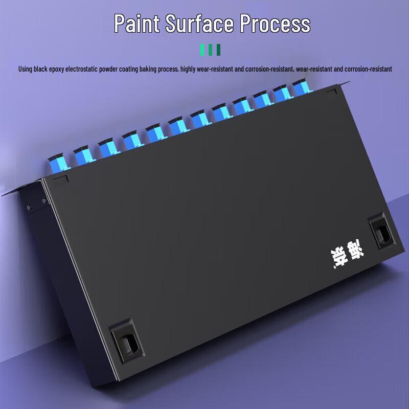 Hainai 1U 19-inch Rack-Mount 12-Port SC Fiber Optic Patch Panel