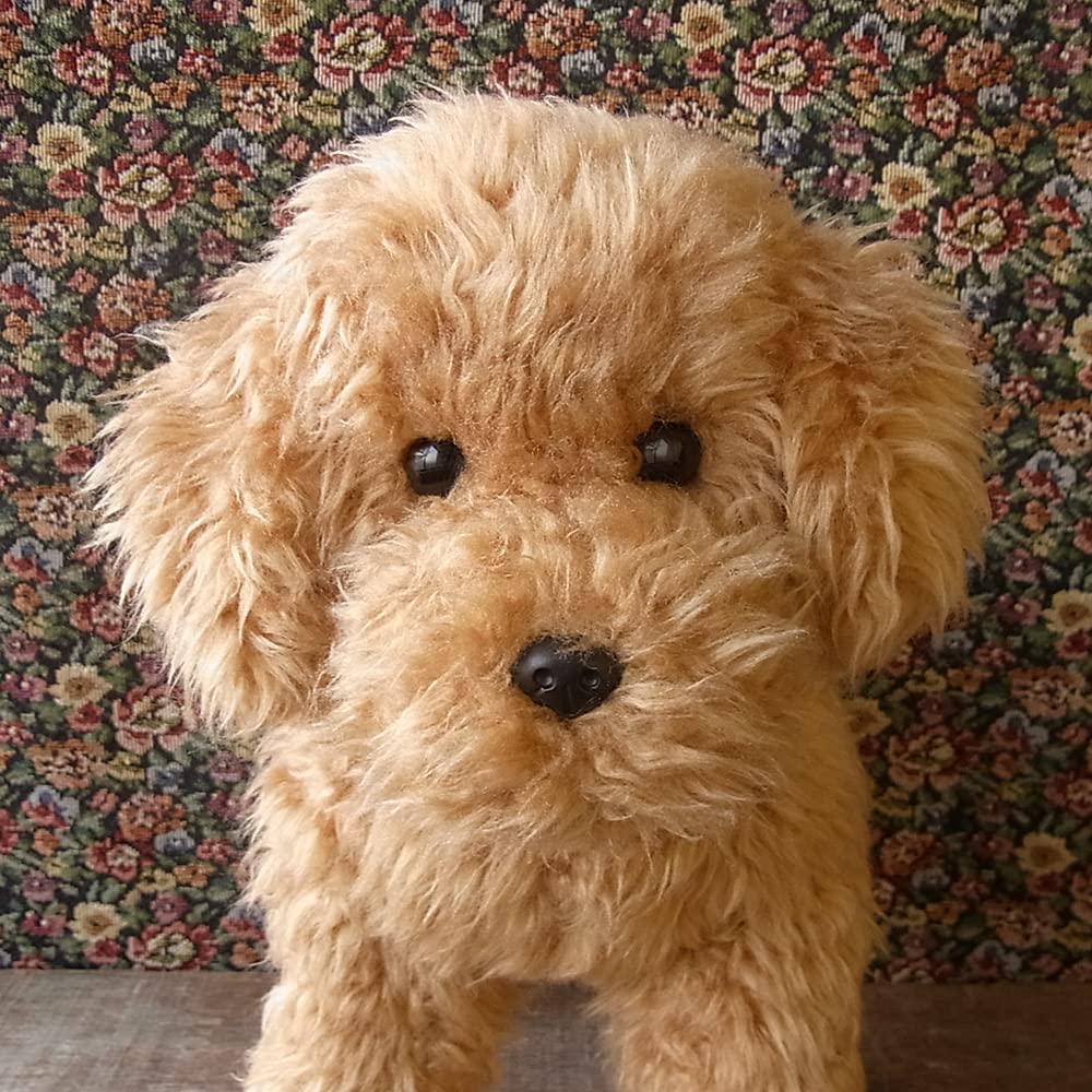 Плюшевая игрушка Ниниан и Кино Реалистичный той-пудель Свободно Примерно 33см Реалистичная домашняя собака, (Абрикос), Подвижный, Длинный,