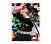 Демон Kimetsu no Yaiba Прозрачный файл Танджиро Незуко Генья Муичиро Мицури Канроджи Истребитель - Камадо, Камадо, Шиназугава, Токито,