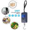Portable 40kg/10g Electronic Hanging Fishing Digital Pocket Weight Hook Scale