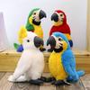 Simulation Macaw King Kong Parrot Plush Doll Parrot Doll Machine Doll Bird Plush Toy Gifts