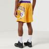 Nike Лос-Анджелес Лейкерс Баскетбольные спортивные повседневные дышащие шорты Мужские плавки Желтые DB1956-728