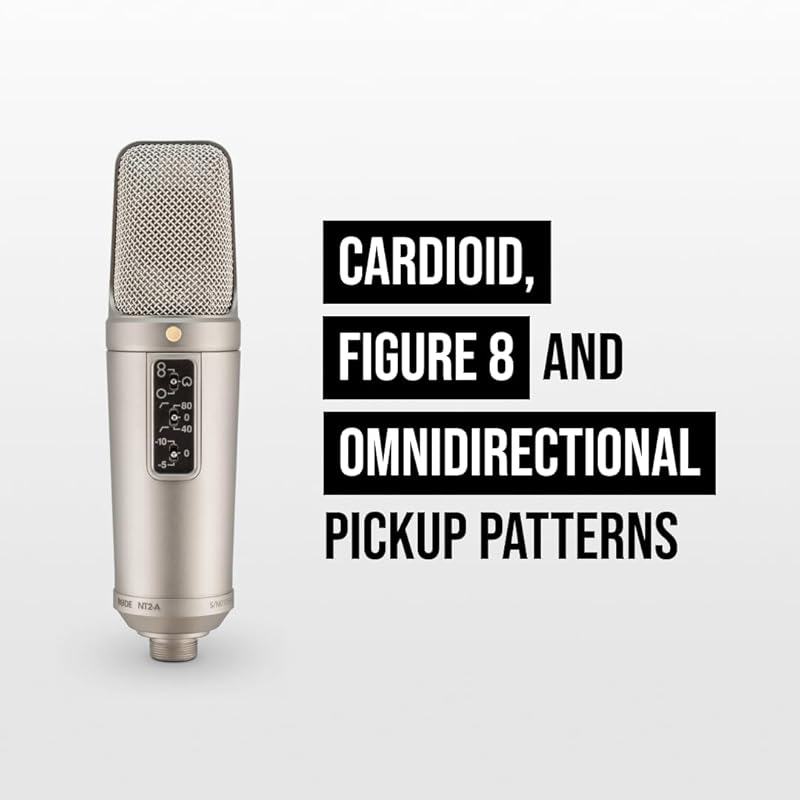 RODE Микрофоны дорожные микрофоны NT2-A конденсаторный микрофон NT2A