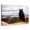 Canvas Print Starling Cat Bird View