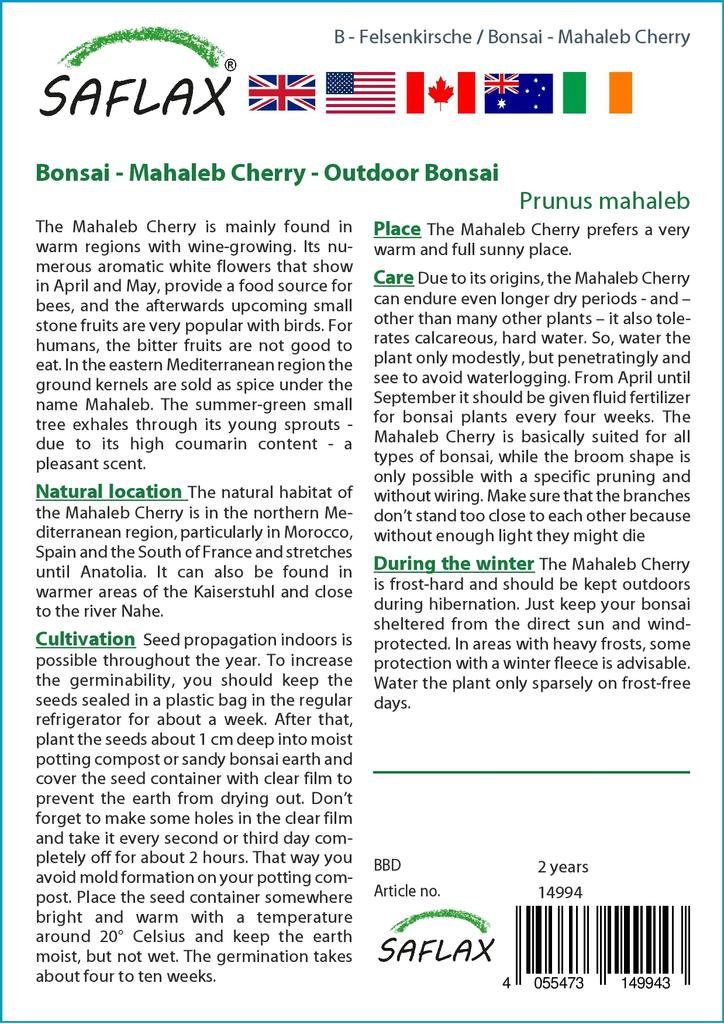 SAFLAX Garden in the Bag - Бонсай - Махалебская вишня - 30 семян - С субстратом в подходящем пакете-стойке - Prunus mahaleb