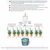 Multi-Head Drip Irrigation Device Automatic Timer Waterers  Garden Plants