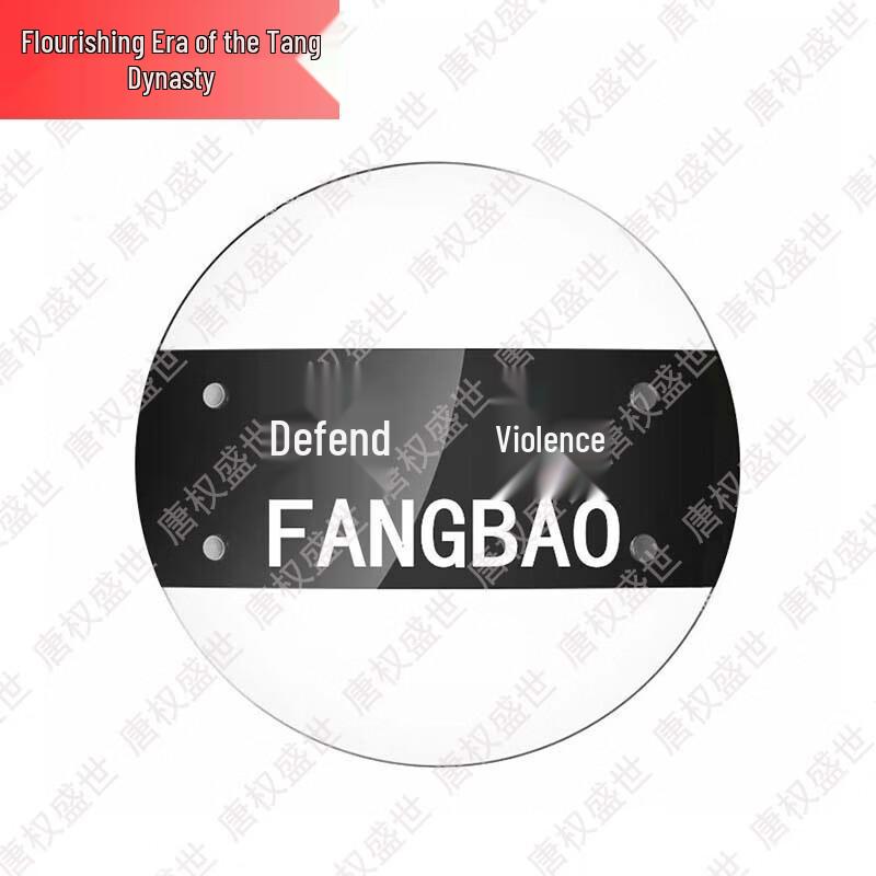 Professional Security & Riot Control Gear