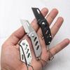Kitchen Utility Knife Stainless Steel Pocket Knife Key Chain Unpacking Peeling Folding Knife Mini Cleaver Camping Fishing Knife