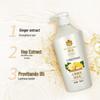 Fenghua Ginger Hair Strengthening Shampoo & Conditioner Set