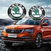 Автомобильная наклейка 2025 Новая 1 шт. 8/9 см Значок Наклейка на капот автомобиля Наклейка на задний багажник Для Skoda Octavia Rapid Kodiaq Karoq Fabia Kamiq
