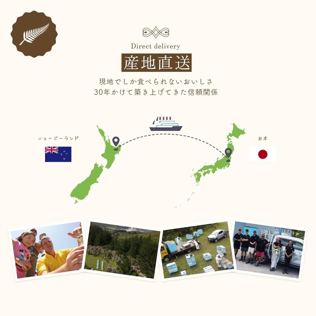 Мед темно-янтарный «Таинственный лес Новой Зеландии» Восточно-Капской области 500 г x 6 бутылок Value Honey Honey Pure Honey Honey Manuka