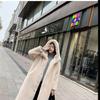 Women's Artificial Fur Coat Women's Autumn And Winter Loose Plush Thickened Hooded  Coat
