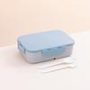 Plastic Bento Lunch Box Leak-Proof Lunchable Snack Containers  School Kids Office Worker