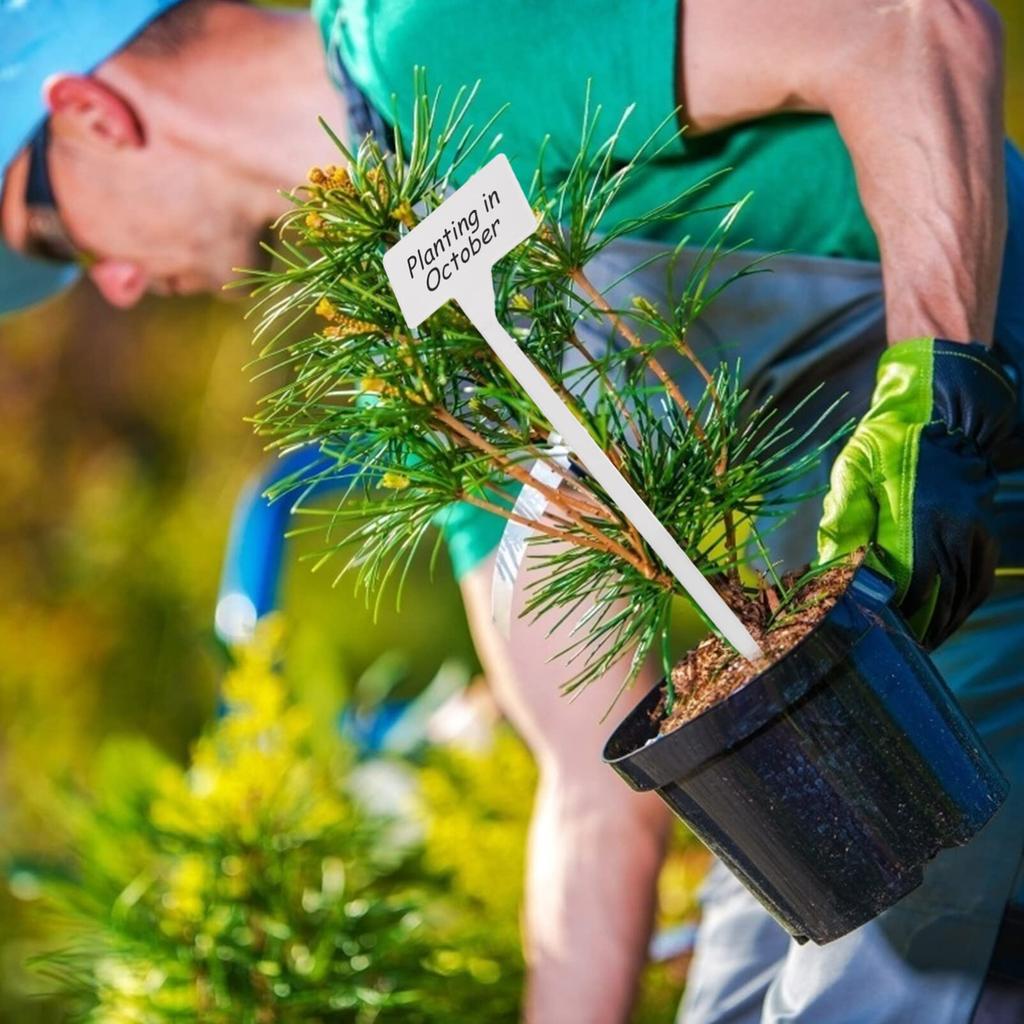 OUNONA Садоводство 20 Высота Садоводство Цветок Белые Этикетки, Растения, Кашпо, Бирки, Маркеры, Таблички, Колышки, Знаки, Т-образные, Большие, Штук, 30см,
