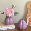 Modern Onion Ceramic Vase Minimalist Flower Pot Desktop Ornament Garlic Shape Vase  Dried Flower
