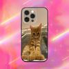 Забавный Милый Чехол для Телефона с Кошкой для iPhone 17 16 15 14 13 12 11 Pro Max Mini SE 7 8 Plus 17E Air Ударопрочный Нескользящий Мягкий Задний Чехол