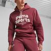 Puma Толстовка с капюшоном Team с принтом букв, с длинным рукавом, мужская толстовка с капюшоном, бордовая 625313-22