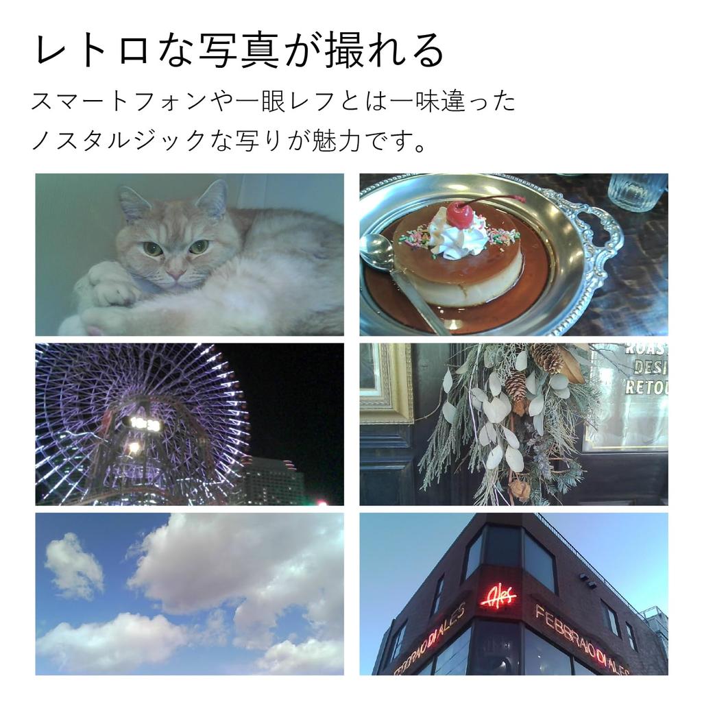 SIGHTRON Digital Toy Camera with Cookie Display, Genuine Leather, Small, 19g, NOA0003 Chocolate